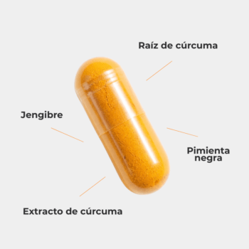 Alternative view of Cúrcuma